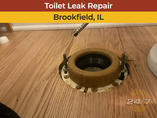 Toilet Leak Repair in Brookfield, IL