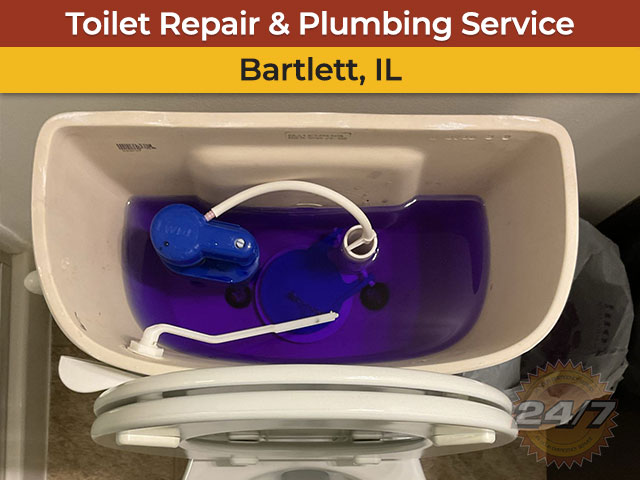 Toilet Repair and Plumbing Service in Bartlett, IL