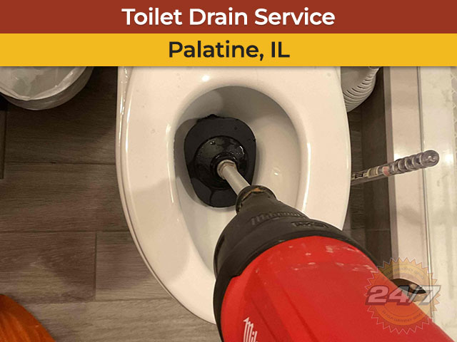 Toilet Drain Clearing Service in Palatine, IL