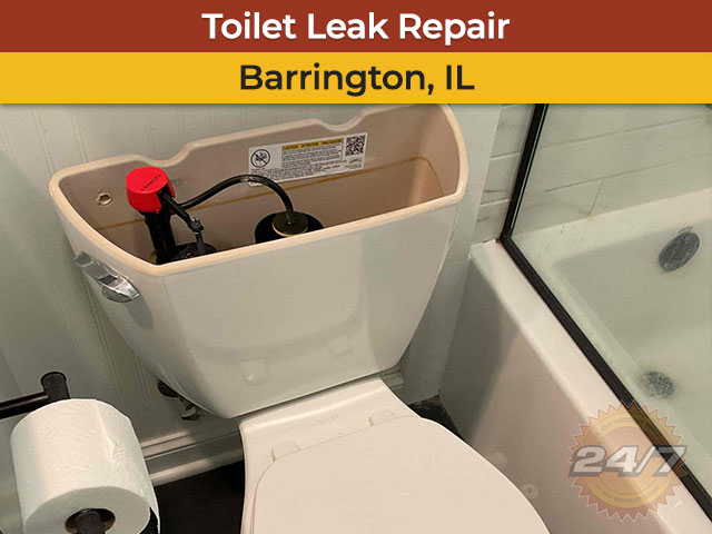 Toilet Leak Repair in Barrington, IL