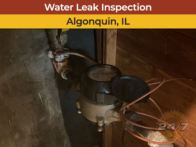 Water Leak Inspection in Algonquin, IL