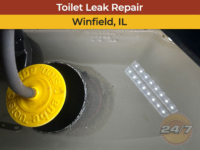 Toilet Leak Repair in Winfield, IL