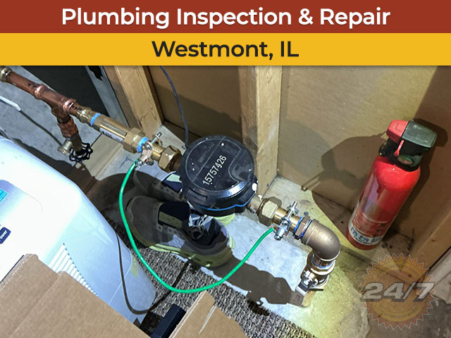 Plumbing Inspection & Garbage Disposal Repair in Westmont, IL