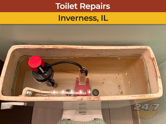 Toilet Plumbing Repairs in Inverness, IL