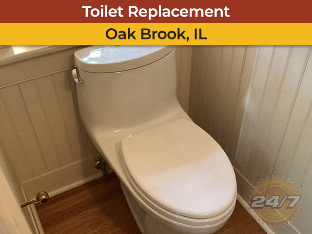 Plumbing Inspection & Toilet Replacement in Oak Brook, IL