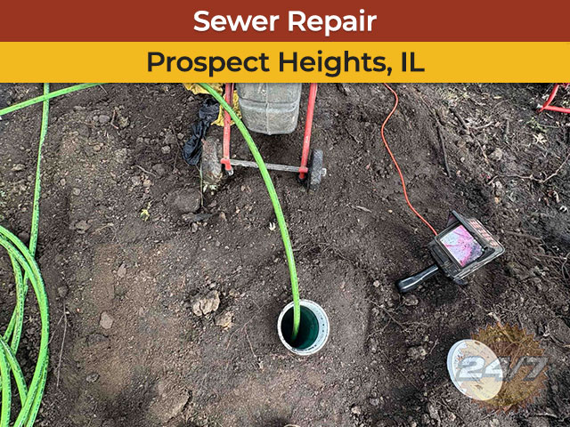 Sewer Repair in Prospect Heights, IL