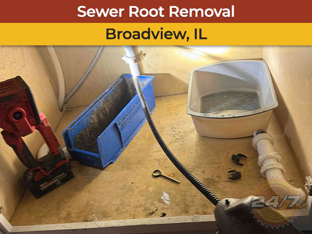Kitchen Drain Backup & Root Removal in Broadview