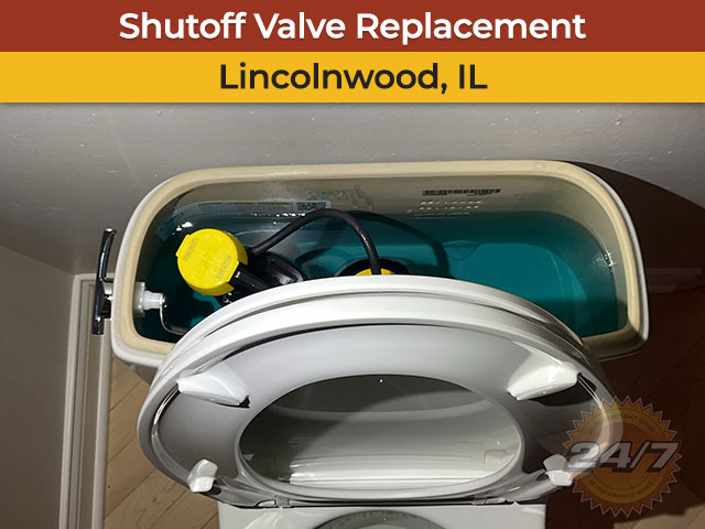 Plumbing Shutoff Valve Replacement in Lincolnwood, IL